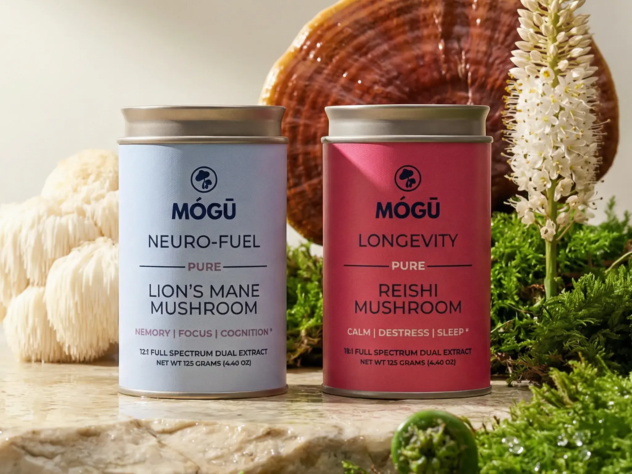Mogu Mushrooms