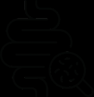 Gut Health Supplements