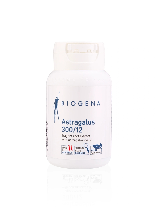 Astragalus 300/12 - 60 Capsules