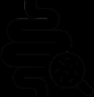 Gut Health Supplements