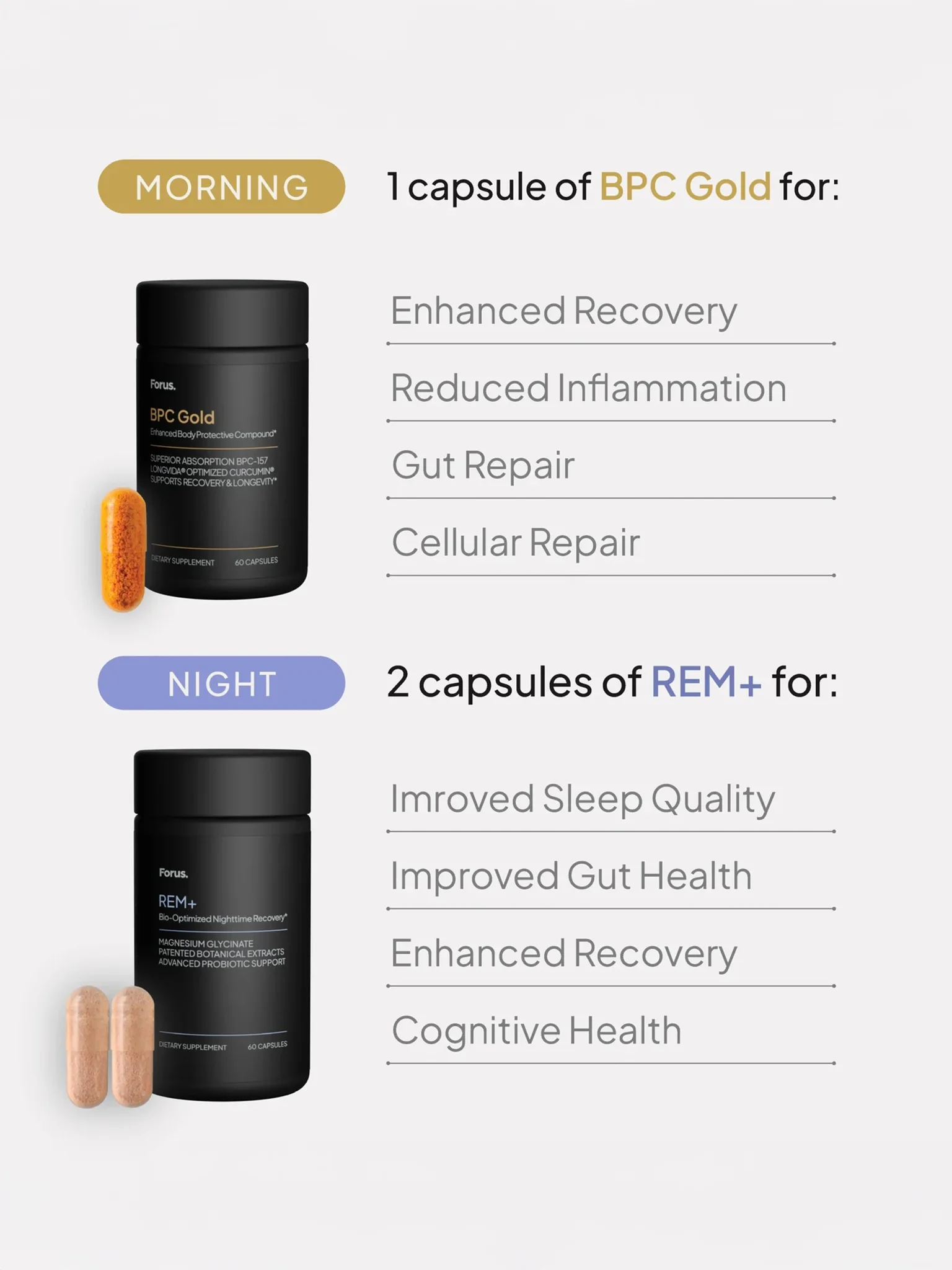 Forus Protocol - Bundle