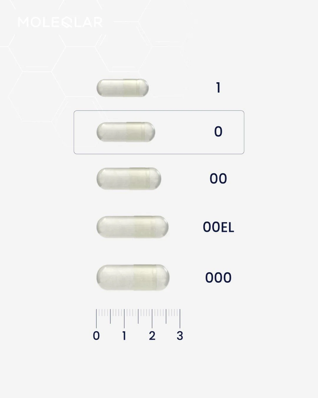 Spermidine PRO - 60 capsules
