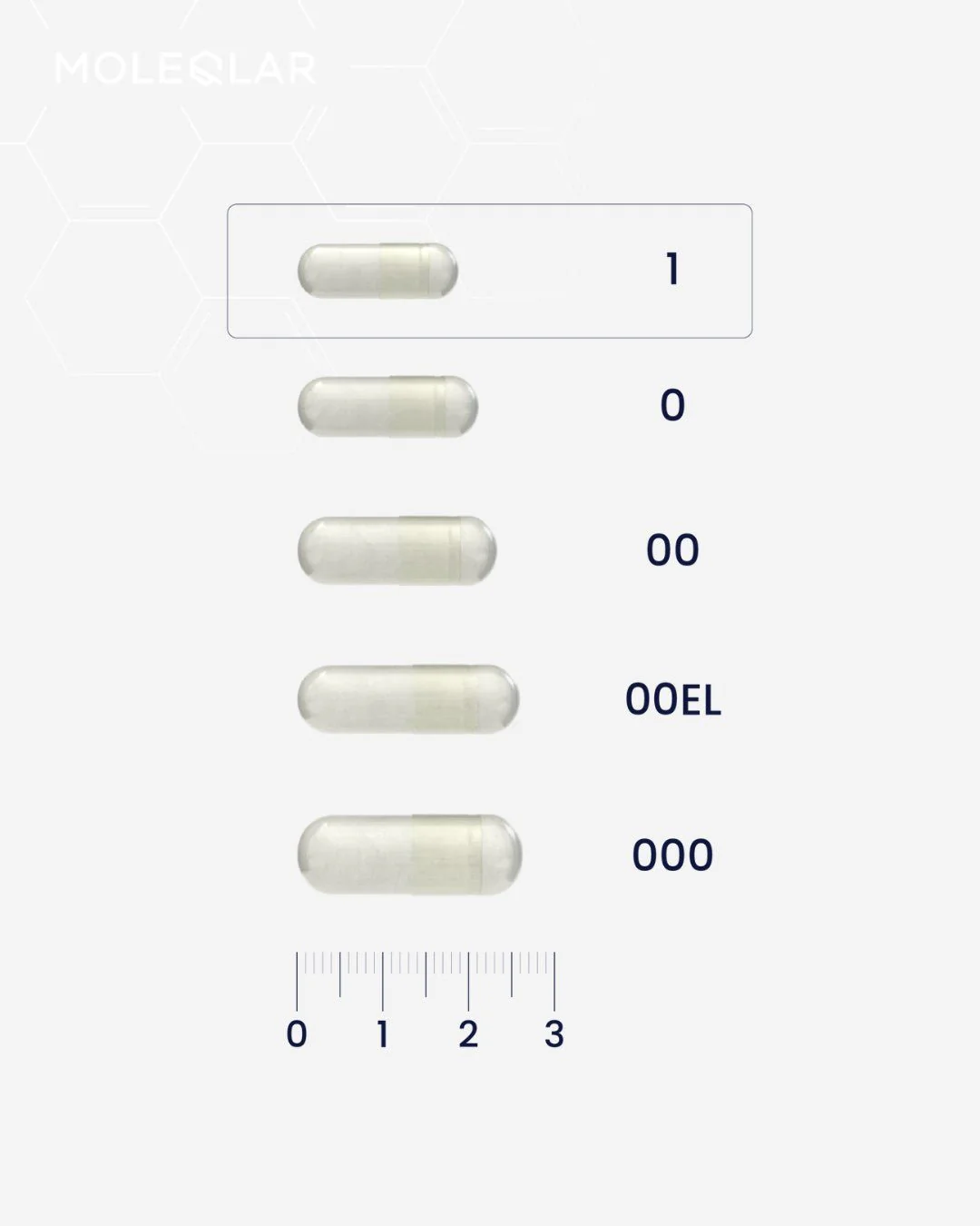 Quercesome - 60 capsules