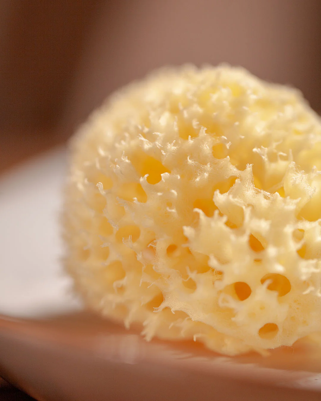 Natural Sea Sponge - Organic Mediterranean Sea