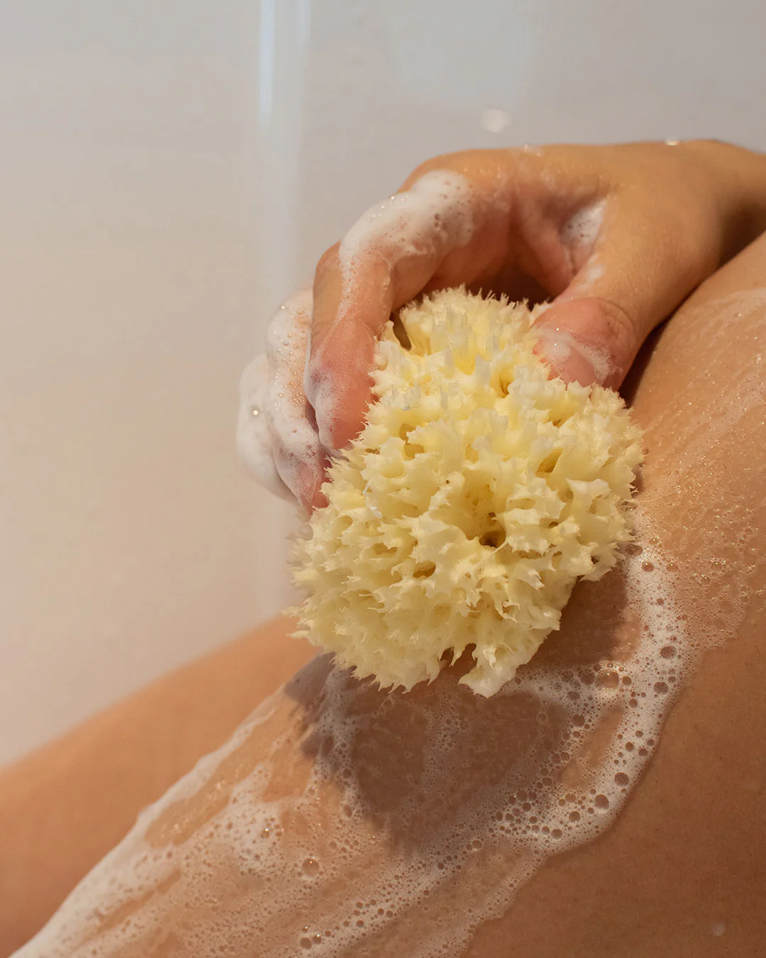Natural Sea Sponge - Organic Mediterranean Sea