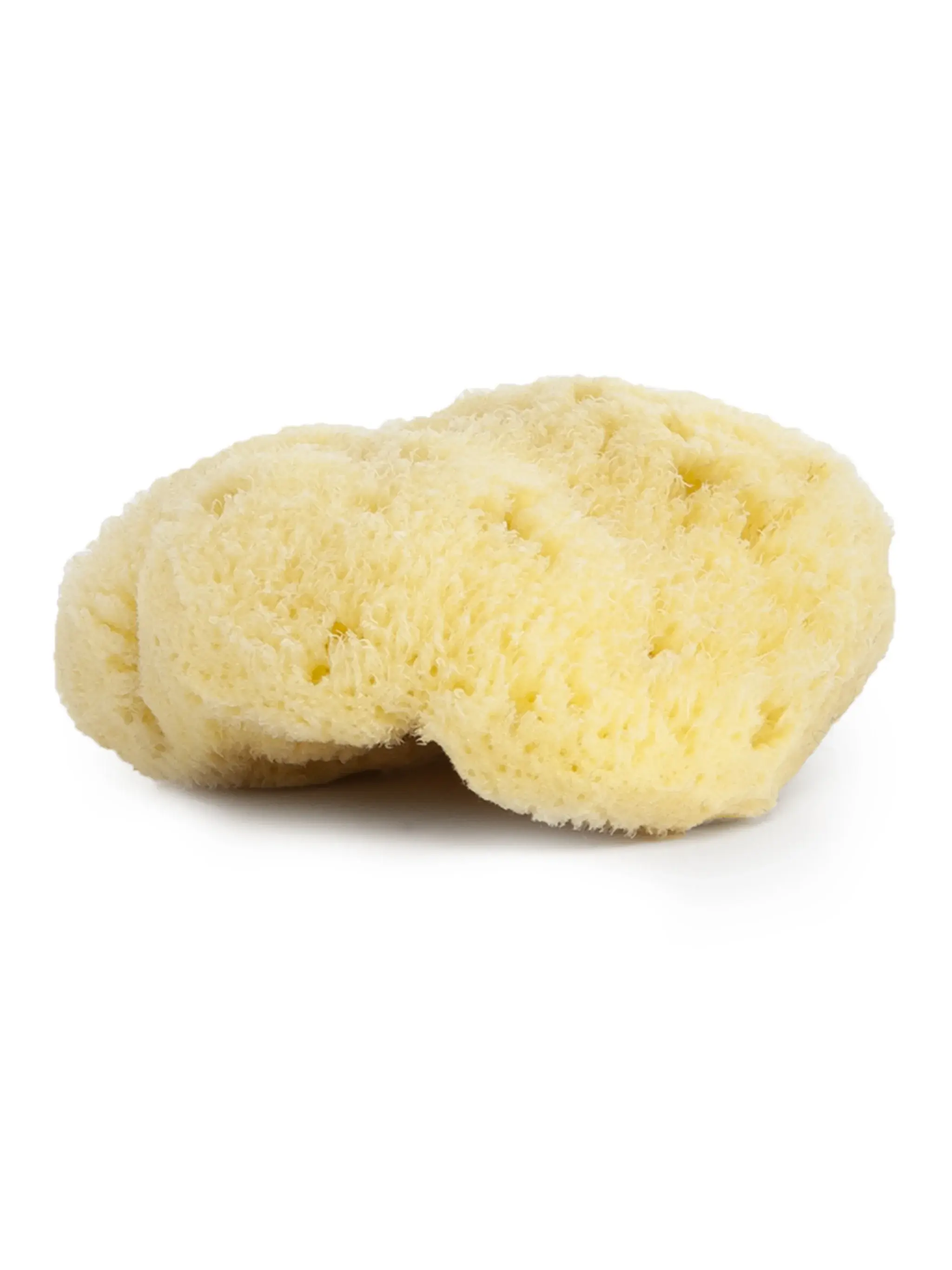 Natural Sea Sponge - Organic Mediterranean Sea